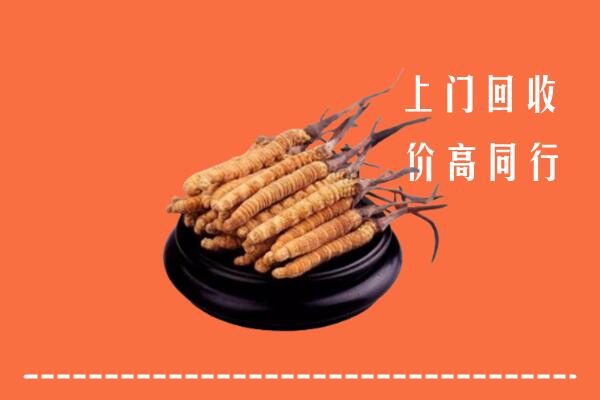 高价求购：鹤山市回收散虫草